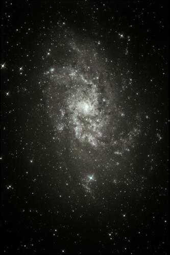 M33